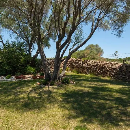 Welcomely - Mediterranea *